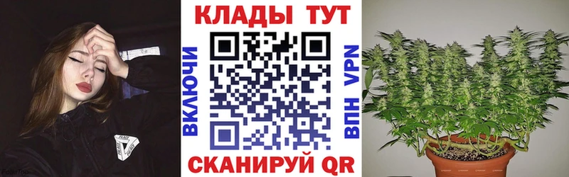 Наркота Разумное Галлюциногенные грибы  ЭКСТАЗИ  А ПВП  АМФ  COCAIN 