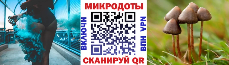 дарнет шоп  Разумное  OMG маркетплейс  Галлюциногенные грибы Psilocybine cubensis 
